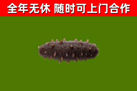 息市烟酒回收干海参.jpg